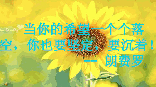 《假如生活欺骗了你》ppt课件