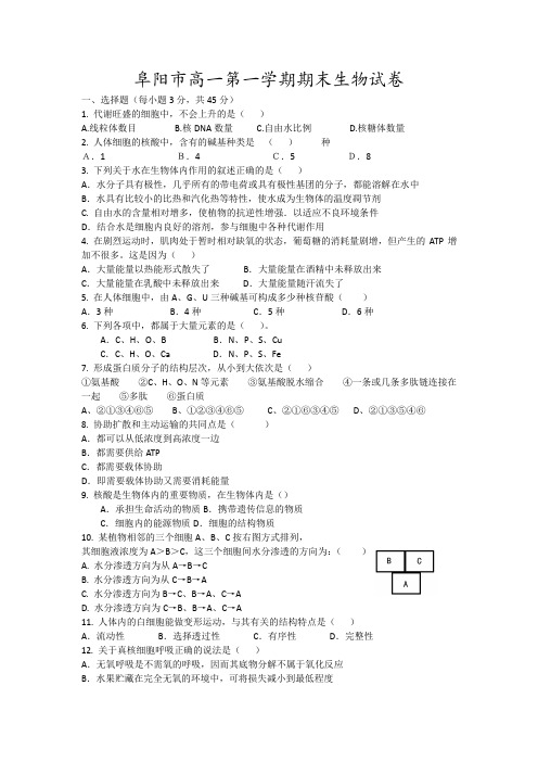 阜阳市高一第一学期期末生物试卷13