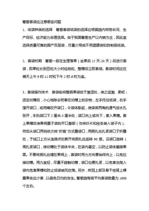 葡萄套袋应注意哪些问题