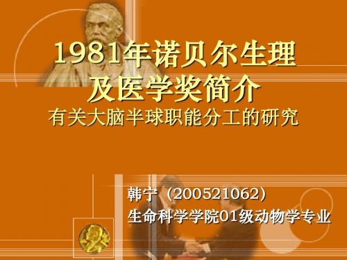 1981年诺贝尔生理及医学奖简介有关大脑半球职能分工的研究韩宁