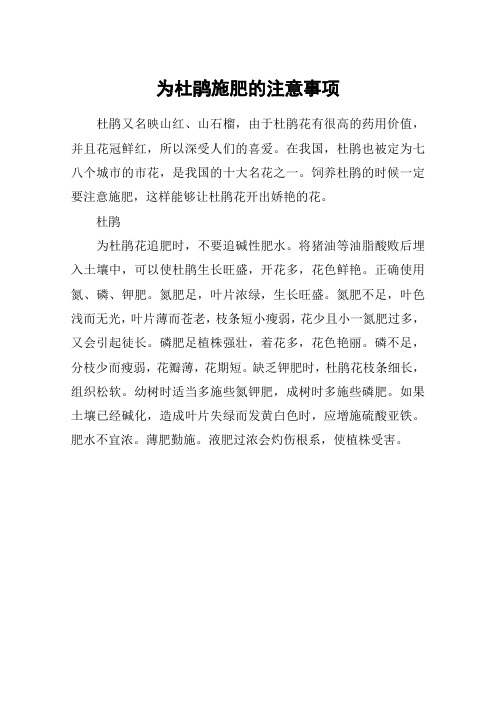 为杜鹃施肥的注意事项