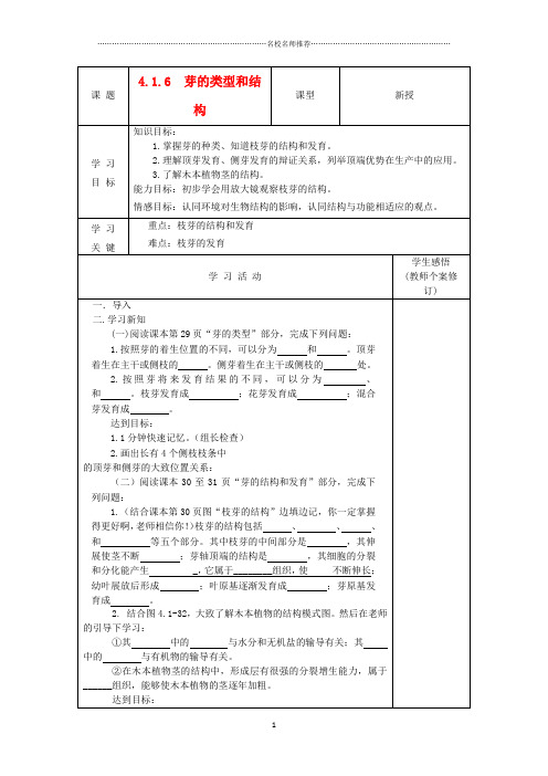 山东省庆云县八年级生物上册 4.1.6《芽的类型和结构》名师精编学案(无答案) 济南版