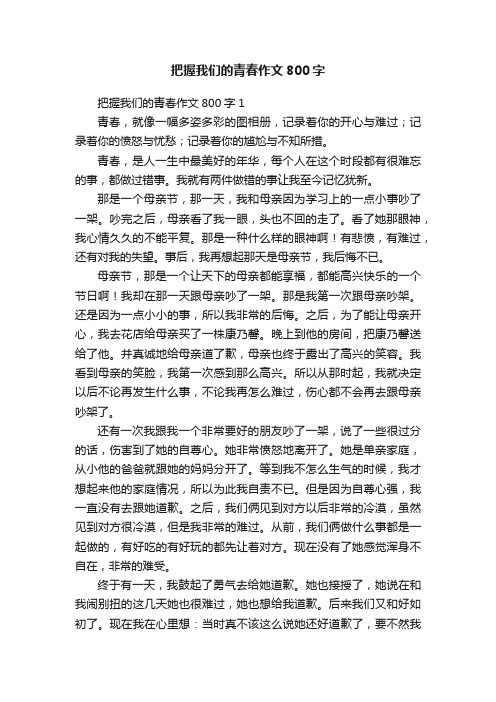 把握我们的青春作文800字