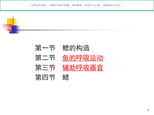 鱼类的呼吸系统课件
