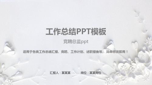 拿来即用-竞聘总监ppt