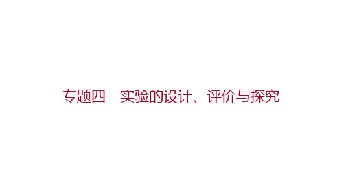 邵阳中考化学 热点突破 专题四 实验的设计、评价与探究 课件(共46张PPT)