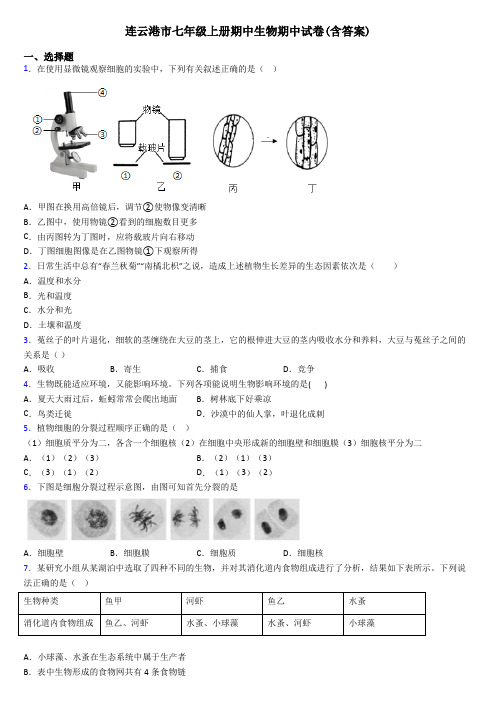 连云港市七年级上册期中生物期中试卷(含答案)