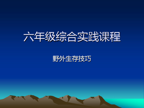 六年级综合实践 野外生存技巧