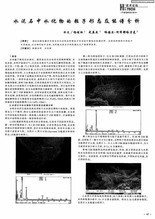 水泥石中水化物的粒子形态及能谱分析