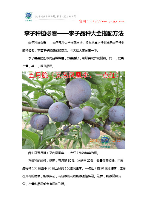 李子种植必看——李子品种大全搭配方法