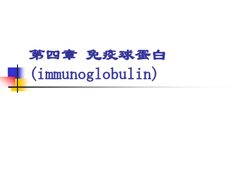 免疫球蛋白