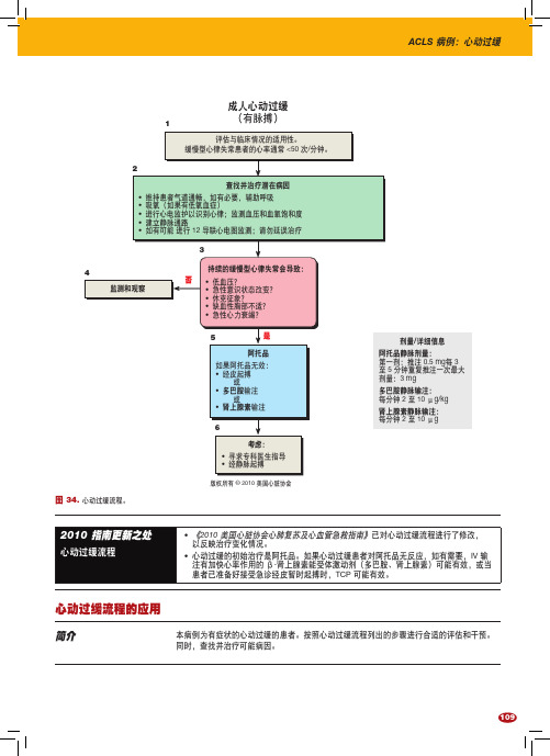 成人心动过缓流程