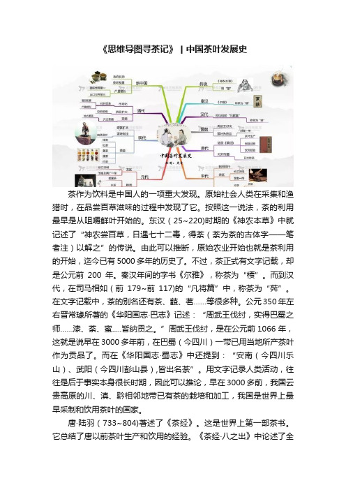 《思维导图寻茶记》丨中国茶叶发展史