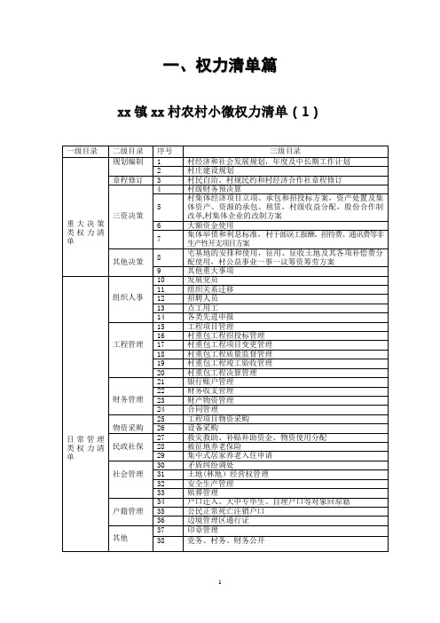 村农村小微权力清单【范本模板】