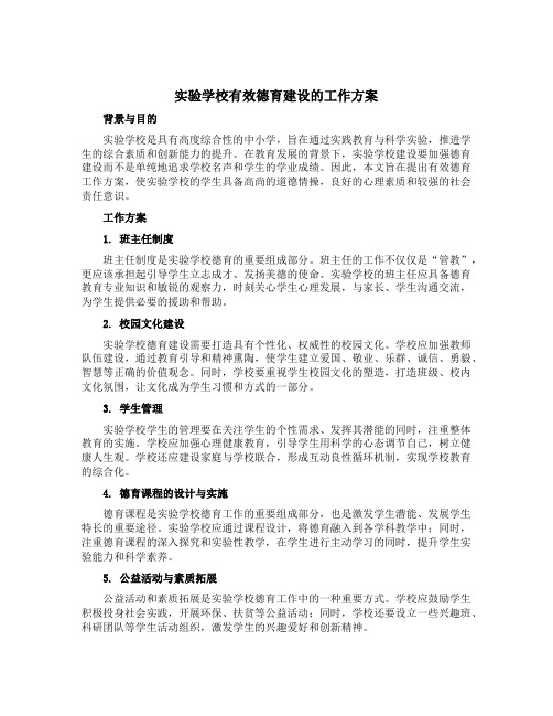 实验学校有效德育建设的工作方案