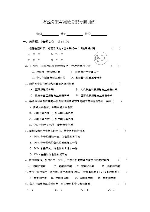 有丝分裂与减数分裂专题训练