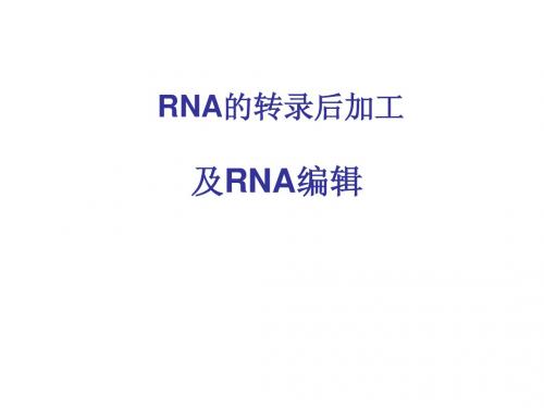 转录后加工及RNA编辑