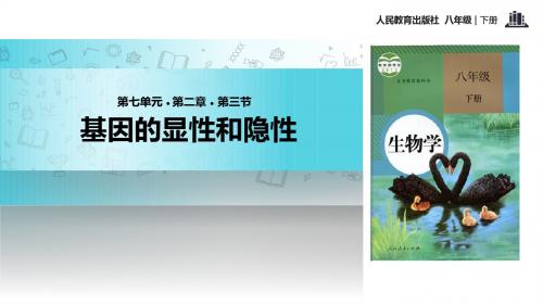 初中人教版生物八年级下册7.2.3发现式教学【教学课件】《基因的显性和隐性》