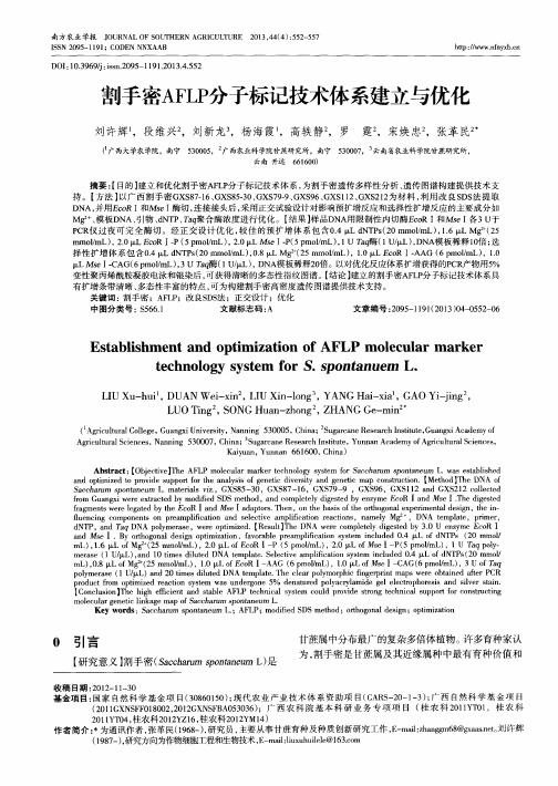 割手密AFLP分子标记技术体系建立与优化