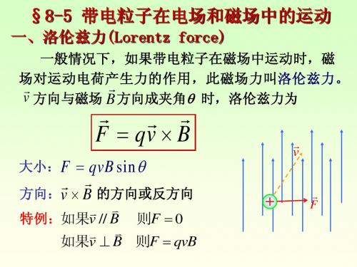 恒定电流的磁场