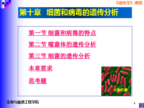 10细菌和病毒的遗传-性导、转导