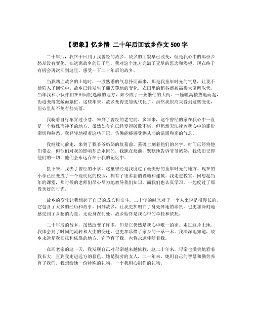 【想象】忆乡情 二十年后回故乡作文500字