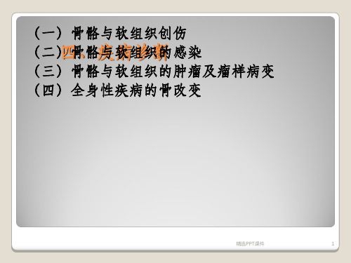 医学影像学骨骼肌肉系统ppt课件