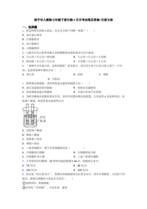 南宁市人教版七年级下册生物4月月考试卷及答案-百度文库