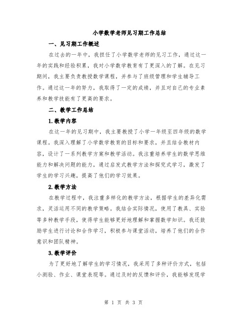 小学数学老师见习期工作总结