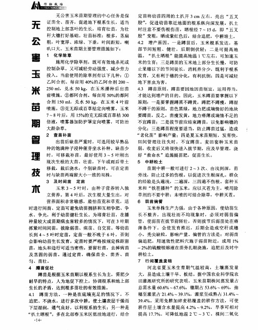 无公害玉米苗期管理技术