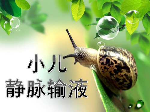 小儿静脉输液ppt
