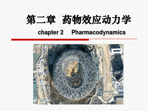 第二章药物效应动力学课件