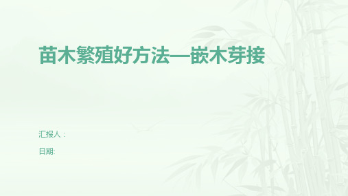 苗木繁殖好方法—嵌木芽接