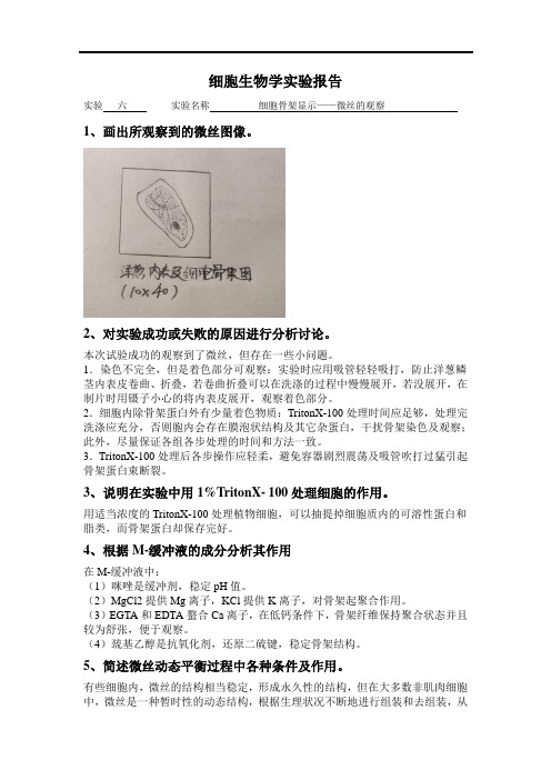 细胞生物学实验报告(5)