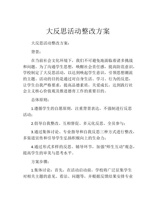 大反思活动整改方案