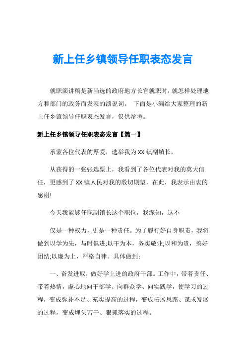 新上任乡镇领导任职表态发言