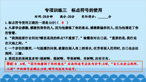 统编版语文八年级上册期末专项训练三 标点符号的使用课件