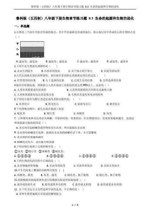 鲁科版(五四制)八年级下册生物章节练习题 8.3 生命的起源和生物的进化