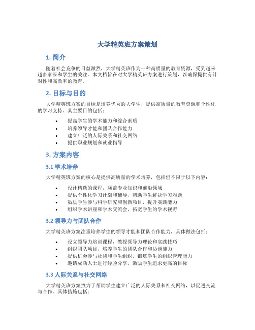 大学精英班方案策划