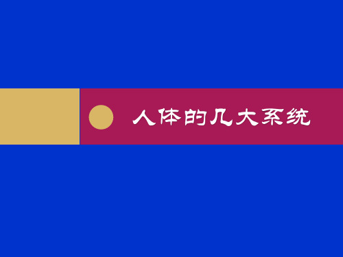 人教版初中生物总复习：人体系统 课件PPT