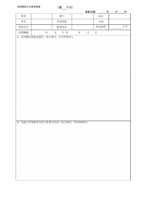 试用期月度考核表