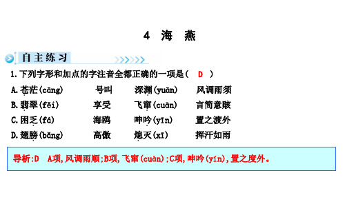 2019秋人教部编版九年级语文下册习题课件：4 海 燕 (共18张PPT)