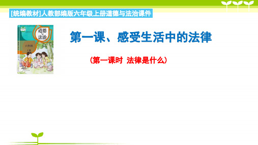 部编版小学道德与法治1.1法律是什么(配教案)-课件