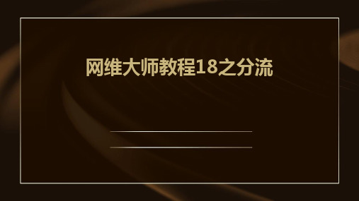 网维大师教程18之分流