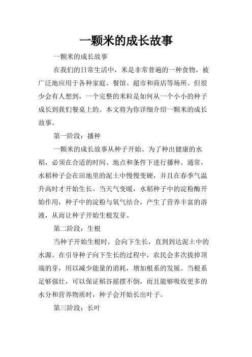 一颗米的成长故事