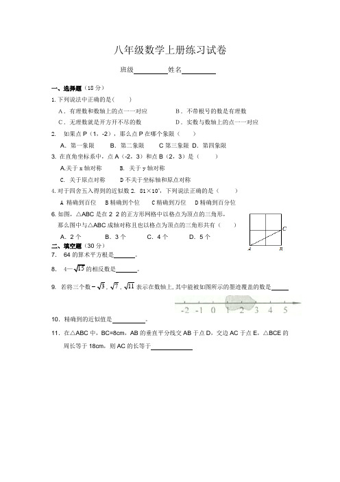 苏教版八年级数学八年级数学上册练习试卷