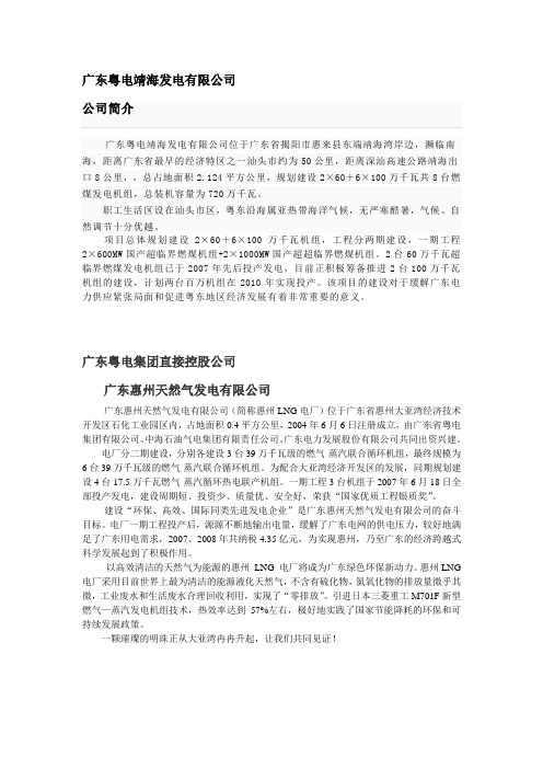 广东粤电靖海发电有限公司