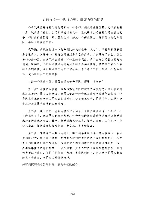 如何打造一个执行力强、凝聚力强的团队