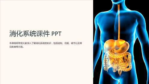 《消化系统课件PPT》