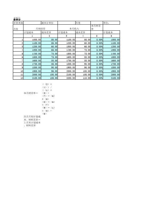 审计工具存货计价XLS